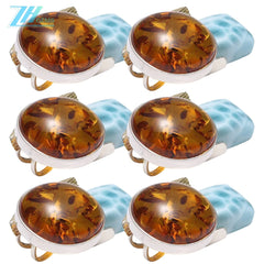 Amber Gemstone Pendant Handmade Gift For Her Baltic Amber Pendant Jewelry Set High Quality Gemstone Huge Drop Combination Red