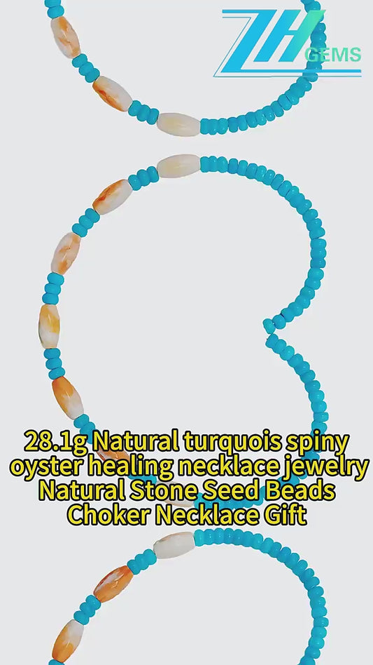 28.1g Natural Turquoise Spiny Oyster Healing Necklace Natural Stone Seed Beads Choker Necklace Gift